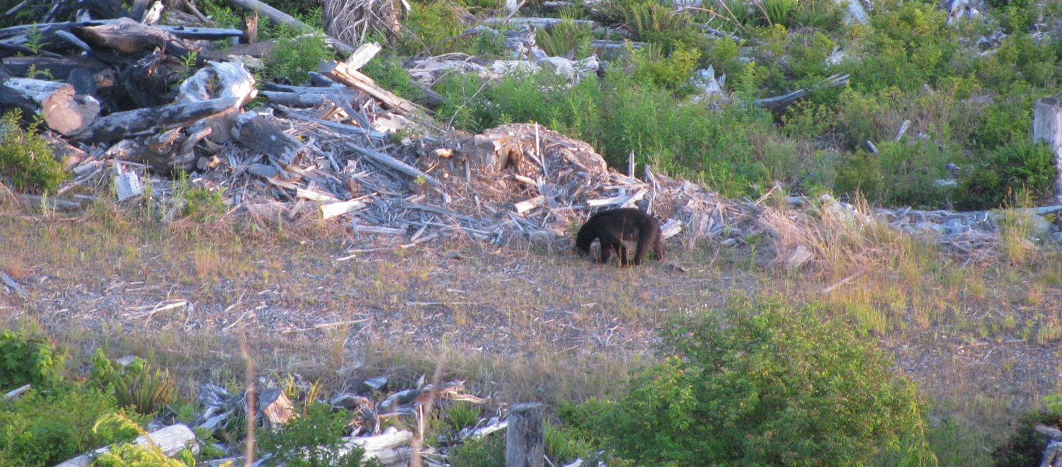 IMG_2423 - Version 2