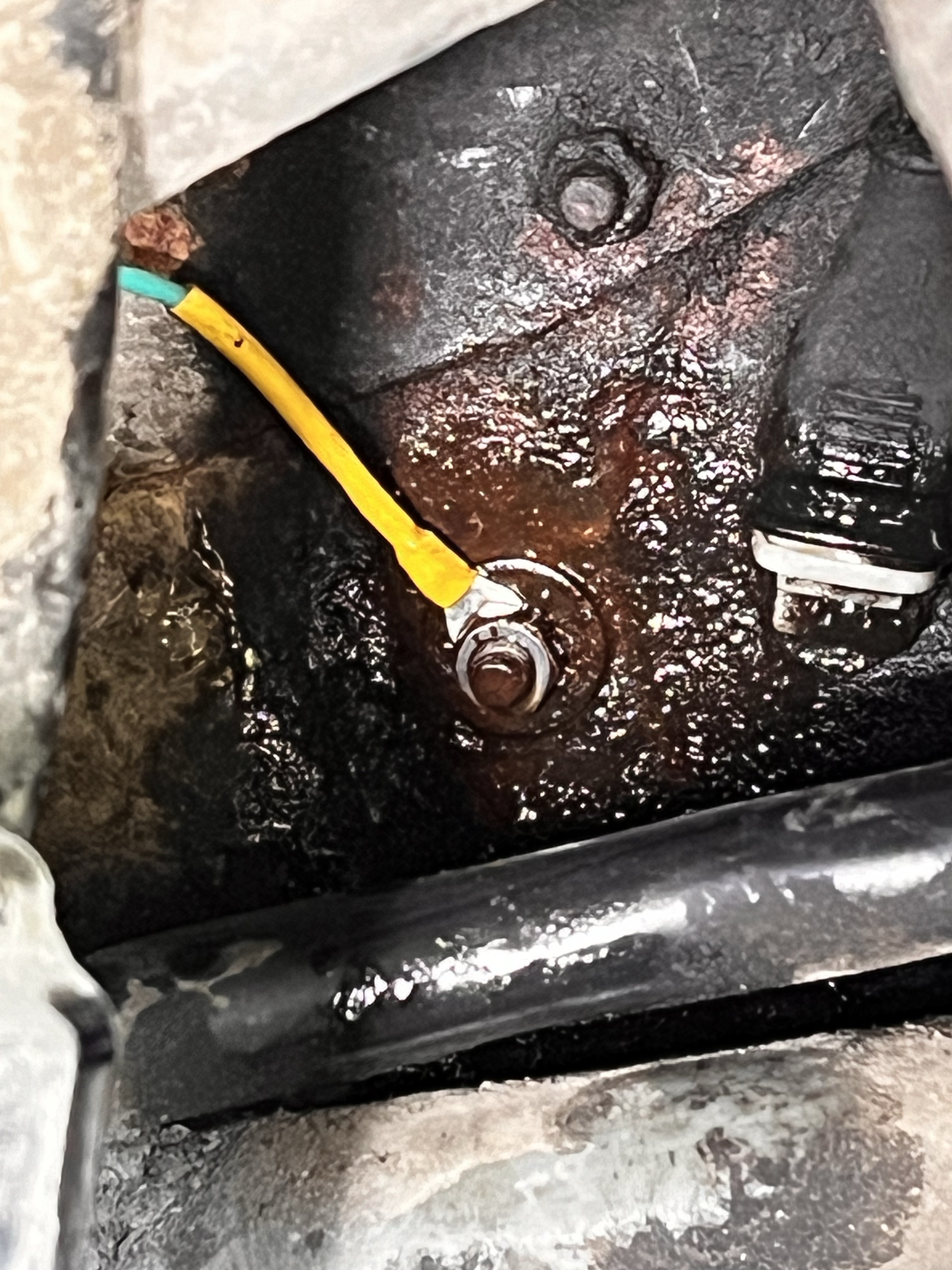 shooftie | this and that, mostly that